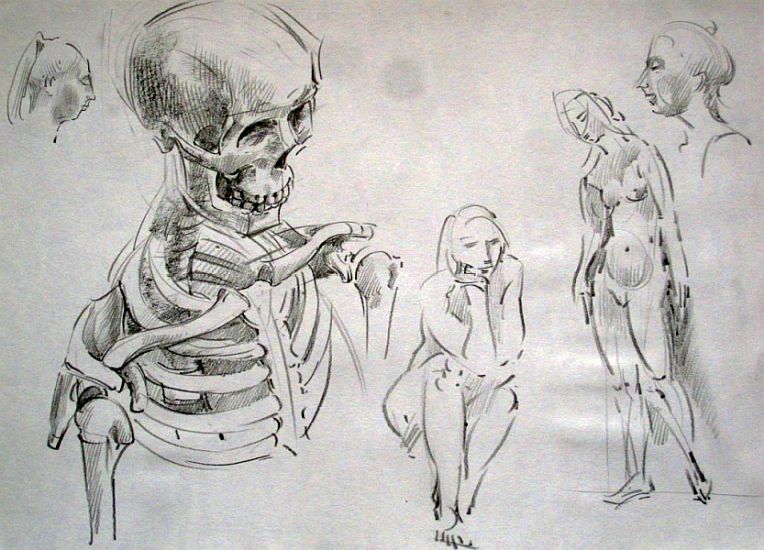 Zeichnung Akt stehende und  sitzende Frauen mit Anatomieskelett